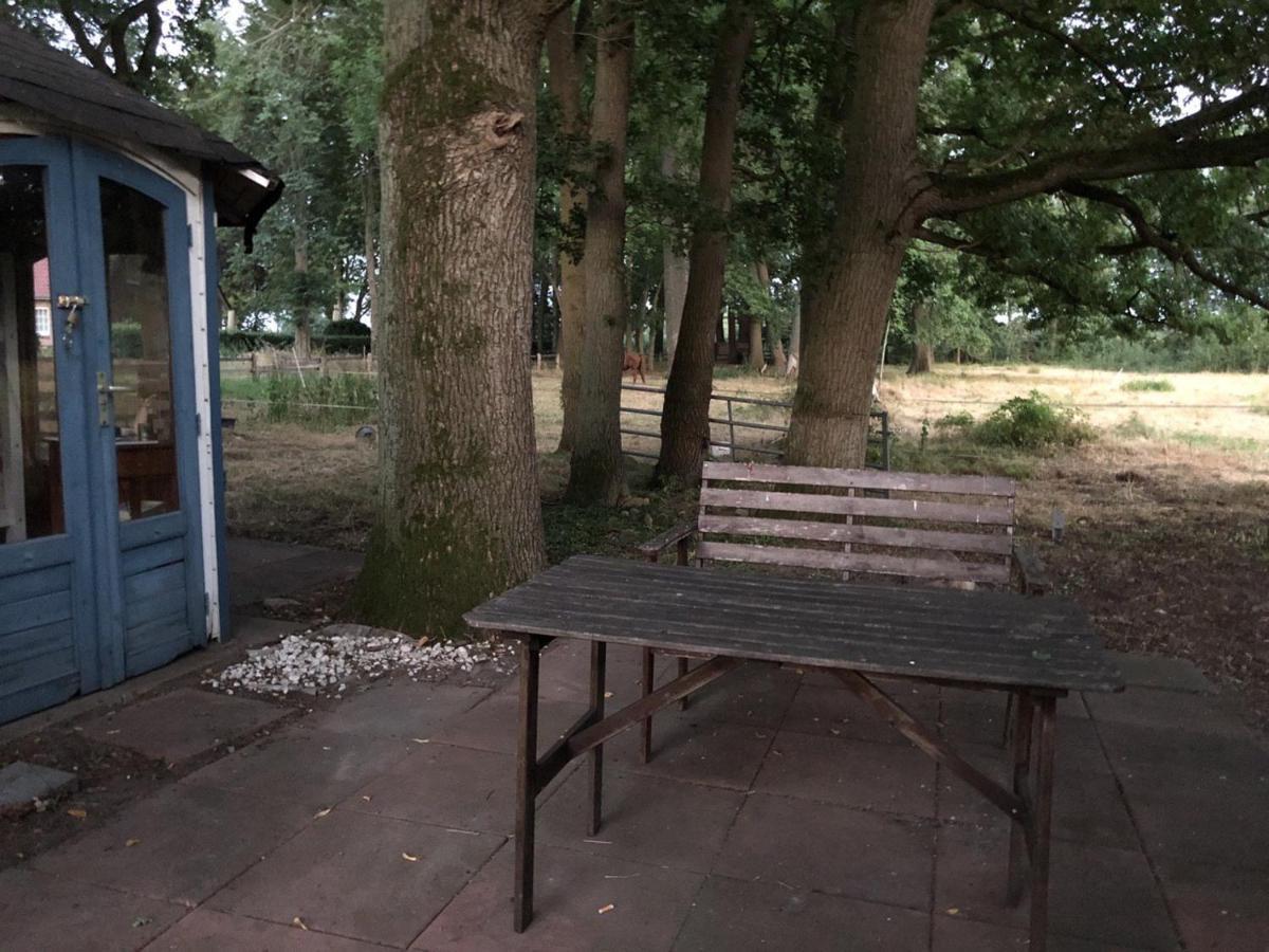 Bequemschlafen Villa Heidenau  Dış mekan fotoğraf