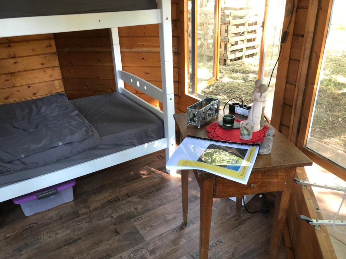 Bequemschlafen Villa Heidenau  Dış mekan fotoğraf
